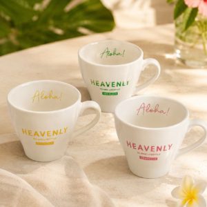 custom-logo-dinnerware14